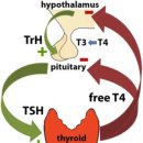허그동물의료센터 이미지
