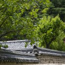 의령 덕교리 강씨고가 이미지