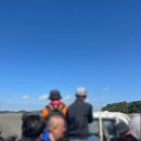 안면도바다사랑낚시 | 내돈내산 태안쭈꾸미낚시 갑오징어 낚시체험 | 안면도 바다사랑 해주호 선상낚시