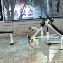 애자호떡 | [25.02-#] 일상