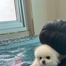 멍스빌리지풀빌라2