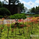 담양고서중학교 이미지