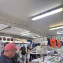 씨월드 피시 이미지