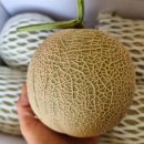 세지개발 이미지