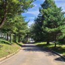 망향정비소 이미지