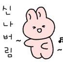 라인어디션현대백화점