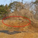 성북동-920 이미지