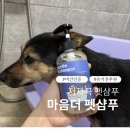 발리펫 | 무향 강아지 샴푸 추천 | 마음더 펫샴푸 - 얼굴에도 순한 애견샴푸