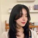 영대세탁 | 경산미용실 오니브헤어 옥곡점 기록 기반 맞춤 시술과 리뉴얼 방문 후기