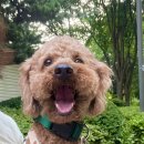 달곰달곰 이미지