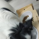 오션블루에너지 네이버블로그