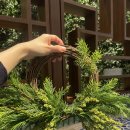 시티호텔 | &lt;영종&gt; 파라다이스시티 호텔 뷔페 후기