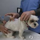 세종메디텍 이미지