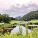 금산인삼골오토캠핑장 이미지