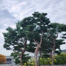 화성문고 이미지