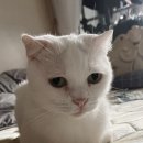 아구세상수송점 이미지