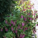 반송동188 이미지