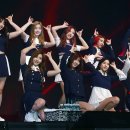 시그널(Signal) 이미지