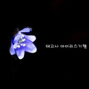 태고사로 이미지