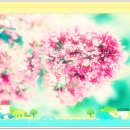 미현리 부운재 이미지