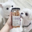 나인페츠 이미지