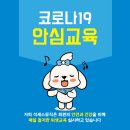 요한 스트라우스 챔버 오케스트라 이미지