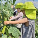 건영농장 이미지