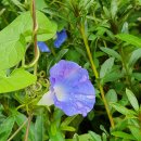 단위농협사거리(농협앞) 이미지