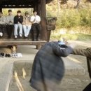살루떼