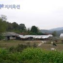 영중농장 이미지