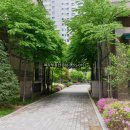 래미안블레스티지공인중개사사무소 | [월세]블레스티지 26평 “ 이 가격에 이 조건이면 오래 고민할 이유 없습니다”