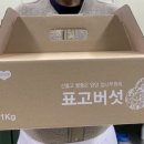 해풍추이