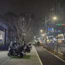 호미스피자 과천점 네이버블로그