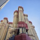 알파부동산공인중개사사무소 이미지