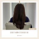 살롱드세렌디