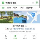 애견펜션 돌봄 네이버블로그