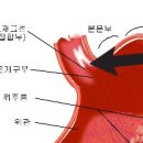 양천연세내과의원 이미지