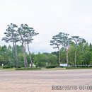 호수공원수변공원 이미지