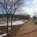 죽곡 태안교 티스토리