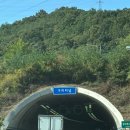 위드독스in포천 이미지