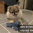 수완지구동물약국 이미지