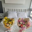 썸웨일즈펜션 이미지