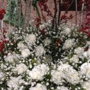 둔산중로-51 이미지