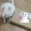 로얄케어클럽 이미지