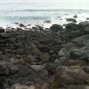 포유펜션 이미지