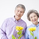 (중급) 생활요가 이미지