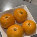 이태리레스토랑문공단점