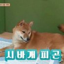 오후청 이미지