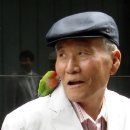 모람들
