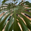 연빈화실 이미지